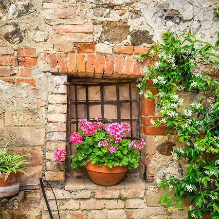 Casa Gialla A 아파트 *